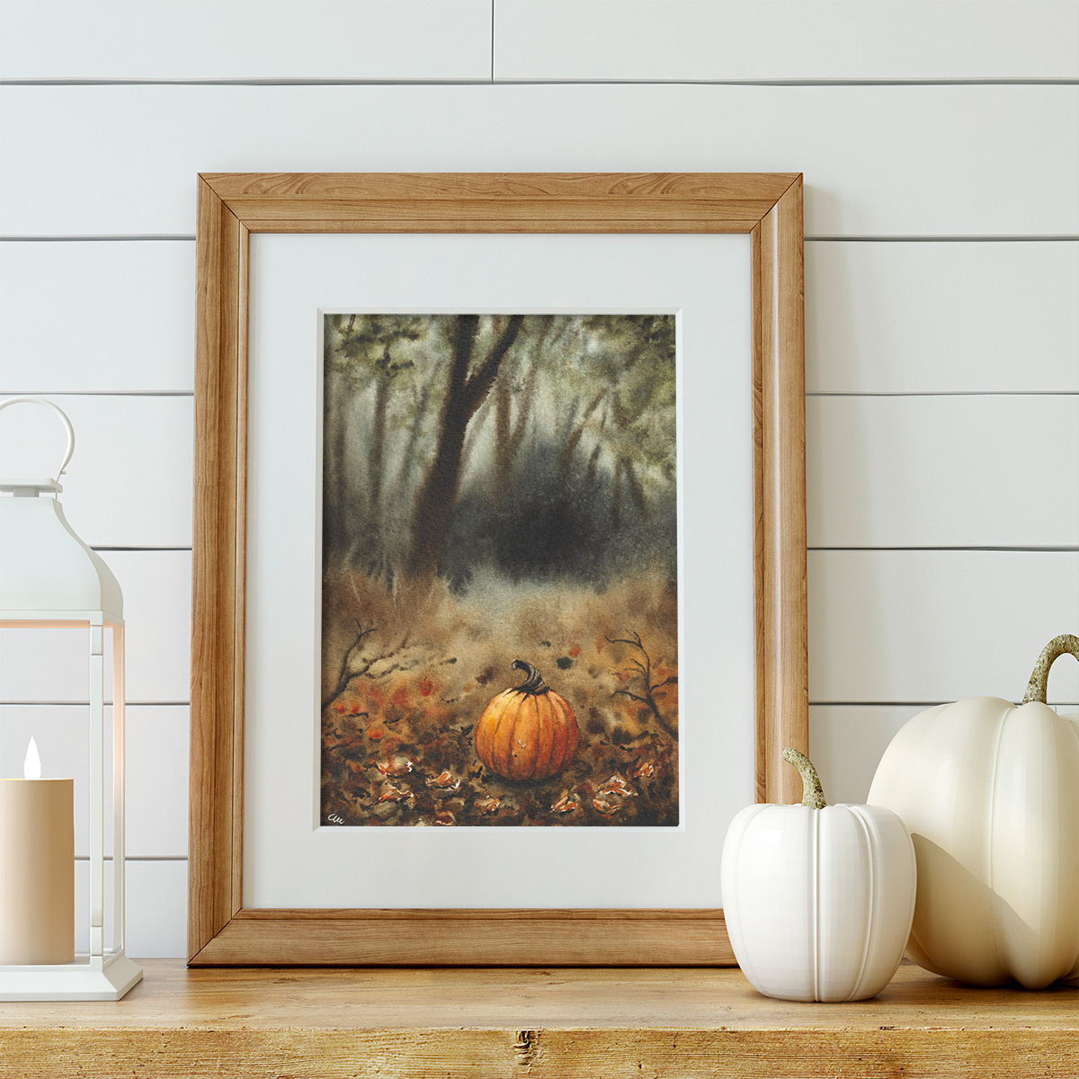 Zucca Solitaria immagine