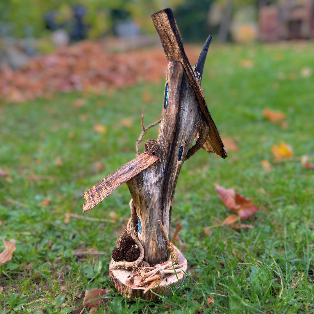 Casa del Bosco a Due Tetti immagine