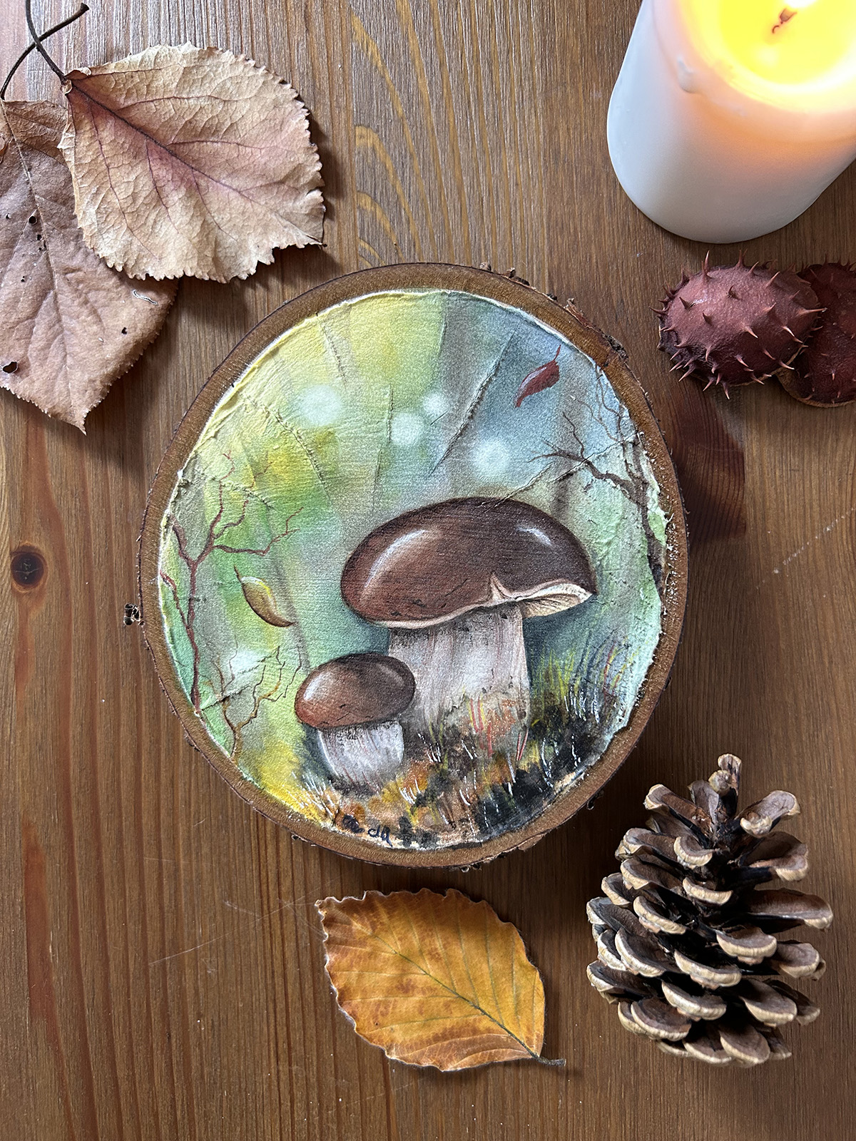 Sottobosco immagine
