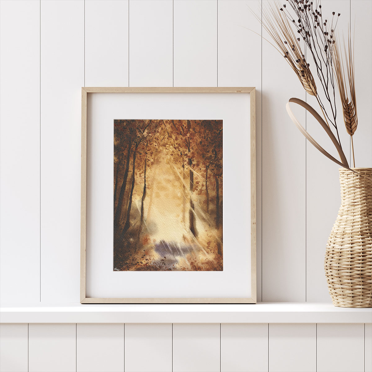 Bosco di Luce immagine