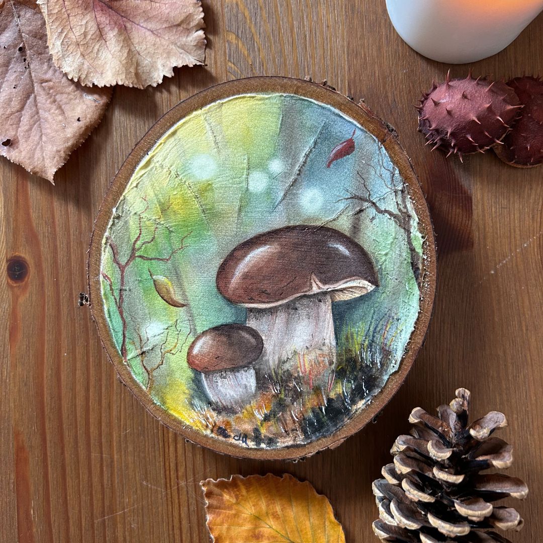 Sottobosco immagine