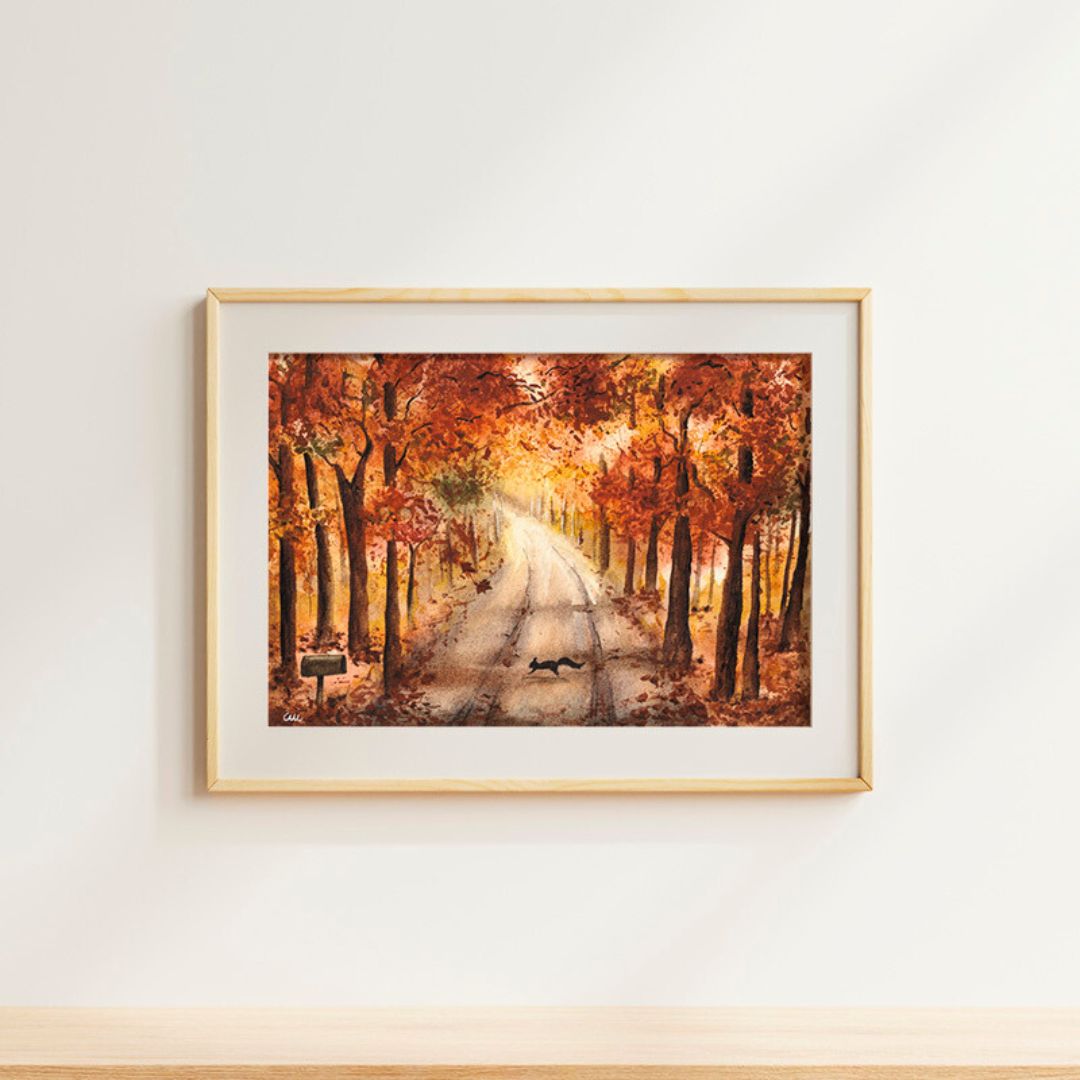 Strada di Campagna in Autunno immagine